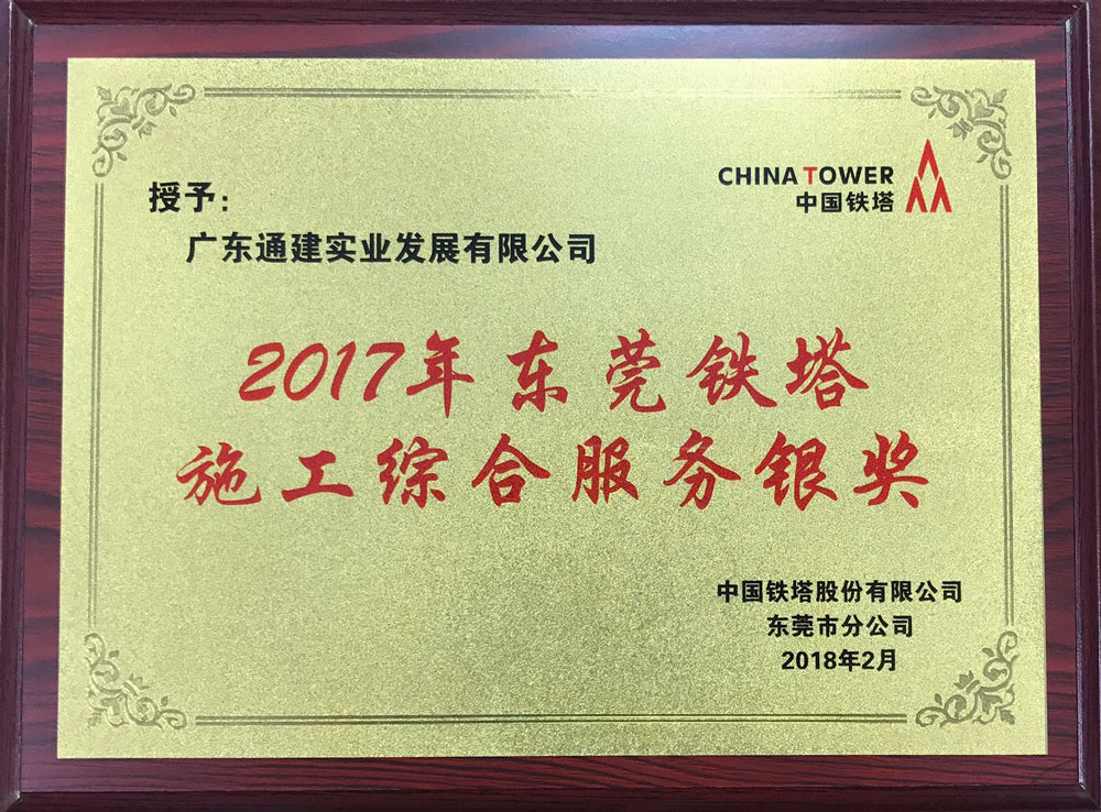 2017年東莞鐵塔施工綜合服務(wù)銀獎(jiǎng)